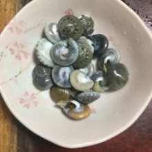 ショウガ香る ながらみの塩茹で レシピ 作り方 By とりあえず乾杯 楽天レシピ ショウガ香る ながらみの塩茹で レシピ 作り方 By とりあえず乾杯 楽天レシピ